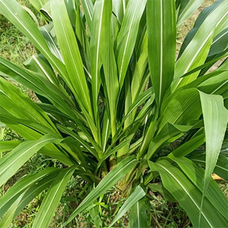 P3.jpg